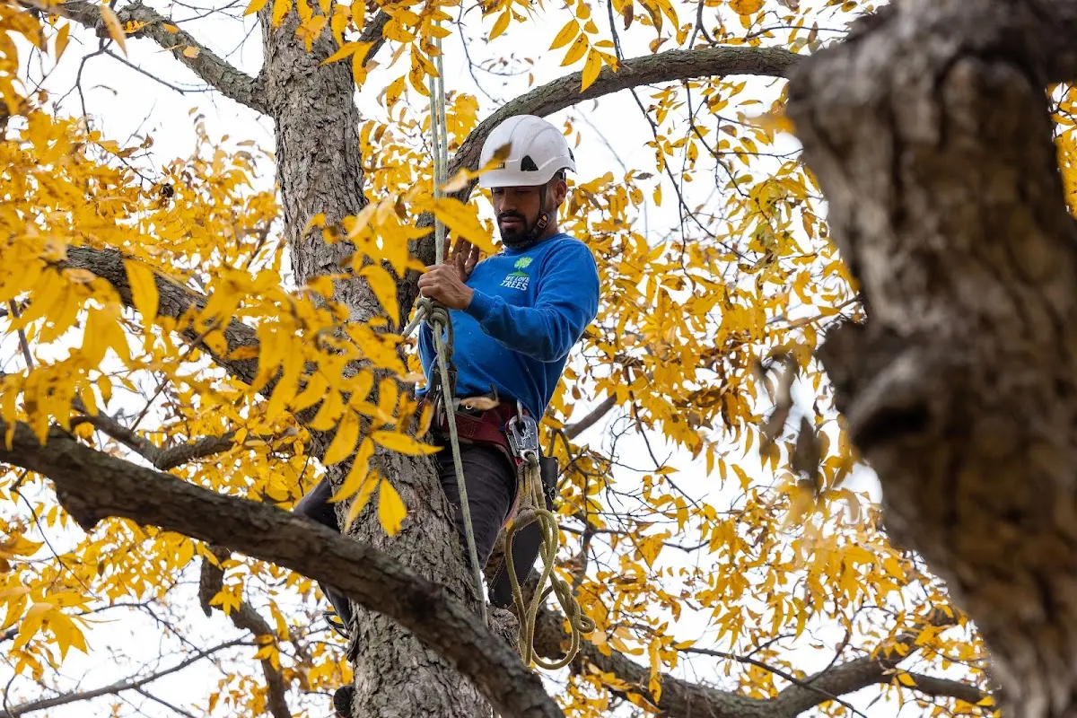 Skilled Storm Damage Cleanup crew working in Benton